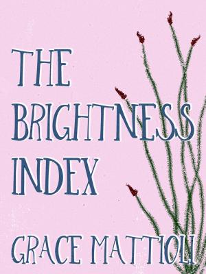 Cover of The Brightness Index