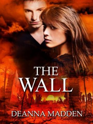 bigCover of the book The Wall by 