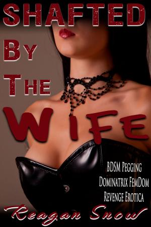 Cover of the book Shafted by the Wife by Reagan Snow