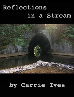 Cover of the book Reflections in a Stream by Brenda K Stone