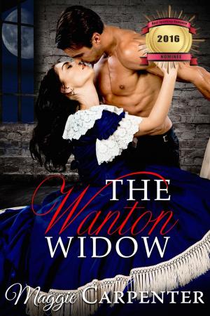 Cover of the book The Wanton Widow by Denise B. Tanaka