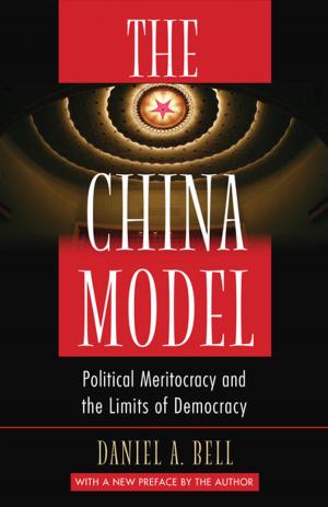 Book cover of The China Model