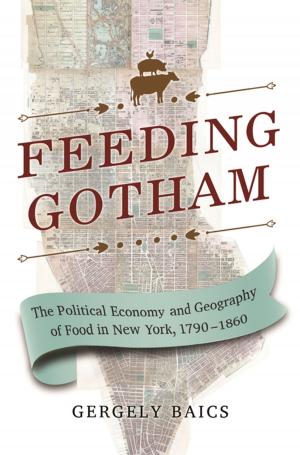 Cover of the book Feeding Gotham by Steven Brint