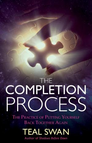 Cover of the book The Completion Process by Paul McKenna, Ph.D.