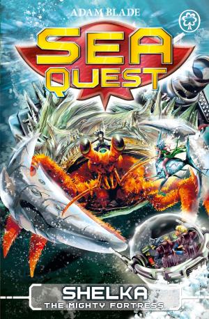 Cover of the book Sea Quest: Shelka the Mighty Fortress by Jenny Oldfield