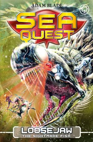 Book cover of Sea Quest: Loosejaw the Nightmare Fish
