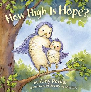 Cover of the book How High Is Hope? by Mr. Tom Pratt Jr., Robert L. Reymond, Dr. Robert L. Saucy, Dr. Robert L. Thomas