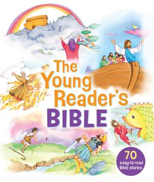 Cover of The Young Reader's Bible