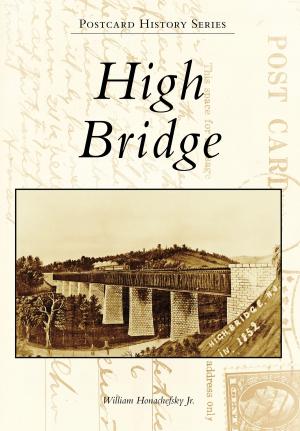 Cover of the book High Bridge by David Biddix, Jonathan Howard Bennett
