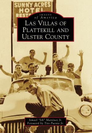 Cover of the book Las Villas of Plattekill and Ulster County by James E. Benson, Nicole B. Casper