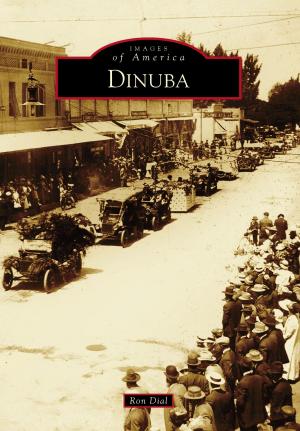 Cover of the book Dinuba by Tevi Taliaferro