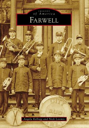 Cover of the book Farwell by Ted Wachholz, Chicago Historical Society, land Disaster Historical Society