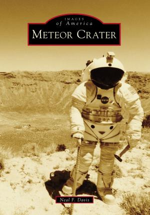 Cover of the book Meteor Crater by James E. Benson & Nicole B. Casper