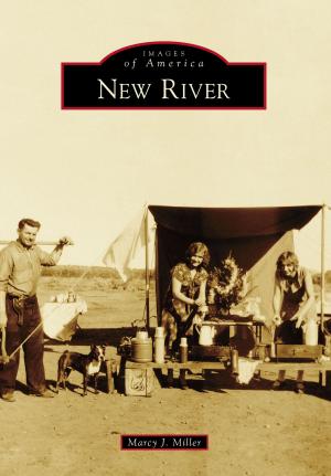 Cover of the book New River by Marilyn Carnes, Matthew Nye