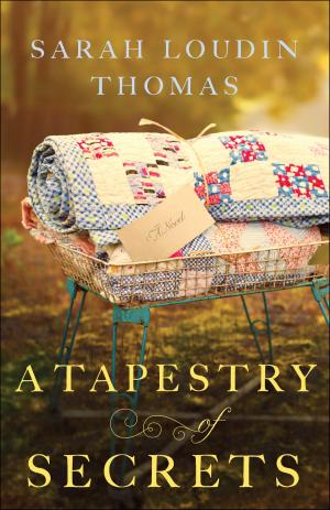 Cover of the book A Tapestry of Secrets (Appalachian Blessings Book #3) by Dean Merrill
