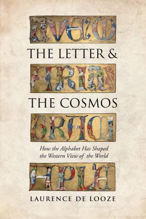 Cover of the book The Letter and the Cosmos by Willem H. Vanderburg