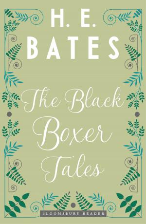 Book cover of The Black Boxer Tales