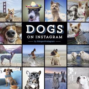 Cover of the book Dogs on Instagram by Jessica Hische, Louise Fili