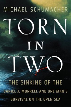 Cover of the book Torn in Two by Thomas Lamarre, Brian Bergstrom, Christine L. Marran