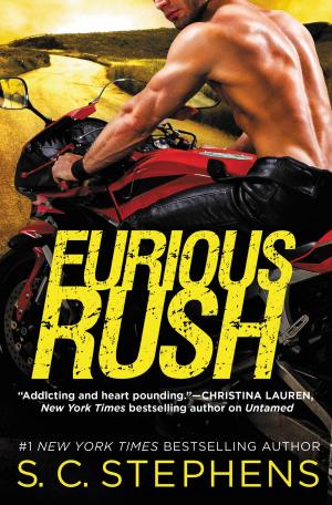 Cover of the book Furious Rush by Stephen Leeb