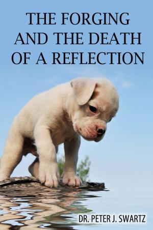 Book cover of The Forging and the Death of a Reflection