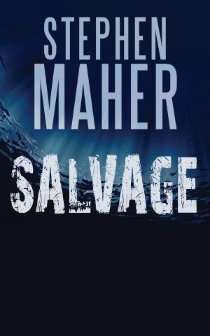 Cover of the book Salvage by Victor Carl Friesen