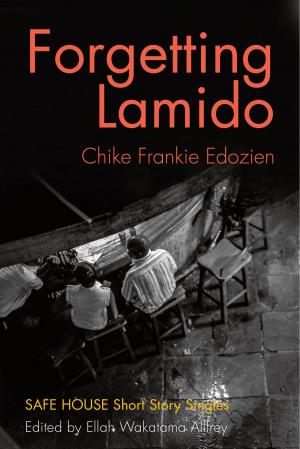 Book cover of Forgetting Lamido