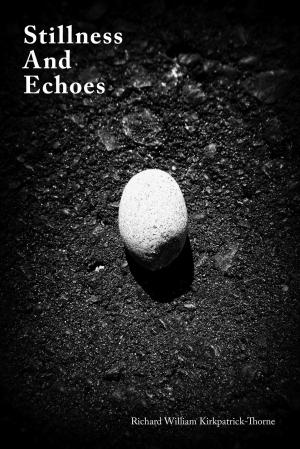 Book cover of Stillness And Echoes