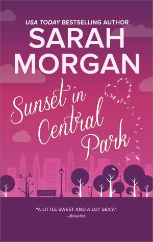 Cover of the book Sunset in Central Park by Jennie Adams