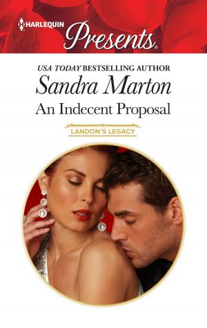 Cover of the book An Indecent Proposal by Christy McKellen