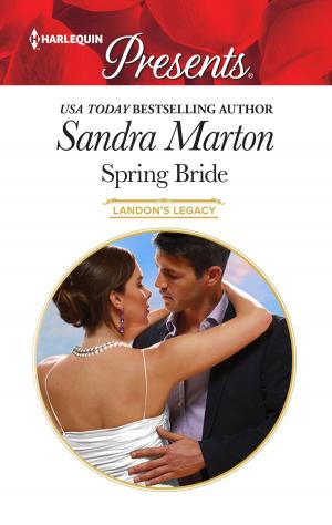 Cover of the book Spring Bride by Kimberly Van Meter