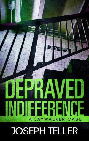 Cover of the book Depraved Indifference by Sheila Roberts