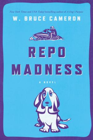 Book cover of Repo Madness