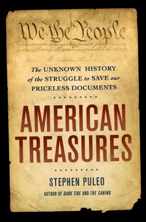 Book cover of American Treasures