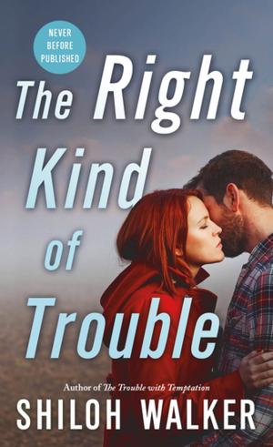 Cover of the book The Right Kind of Trouble by Kieran Kramer