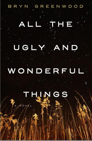Cover of the book All the Ugly and Wonderful Things by Belisa Vranich