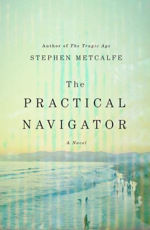 Cover of the book The Practical Navigator by Barry Dutter
