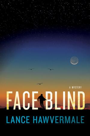 Cover of the book Face Blind by David Holland