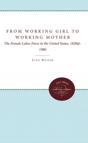 Cover of the book From Working Girl to Working Mother by Peter L. Hahn