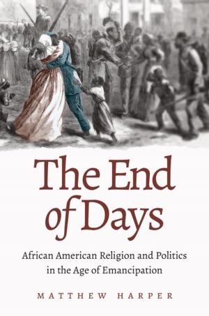 Cover of the book The End of Days by Gary W. Gallagher