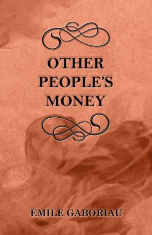 Cover of the book Other People's Money by Rosemary Brinley