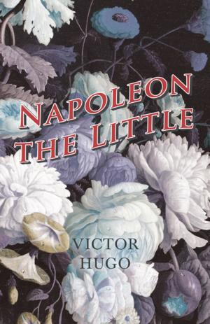 Book cover of Napoleon the Little