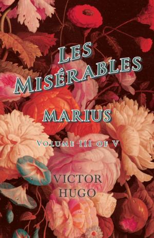 Cover of the book Les Misérables, Volume III of V, Marius by Mimie