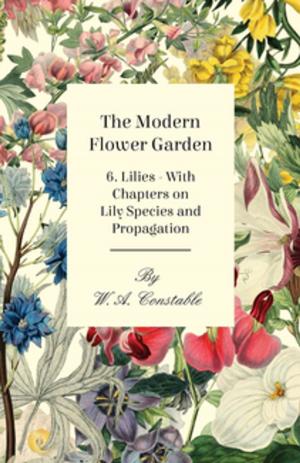 Cover of the book The Modern Flower Garden - 6. Lilies - With Chapters on Lily Species and Propagation by Anon