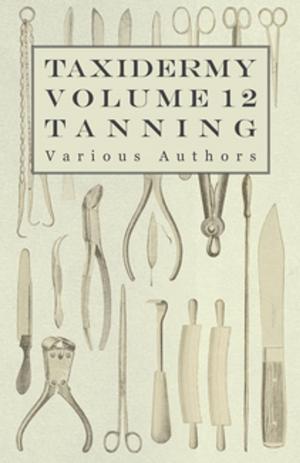 Cover of the book Taxidermy Vol. 12 Tanning - Outlining the Various Methods of Tanning by Fletcher Battershall