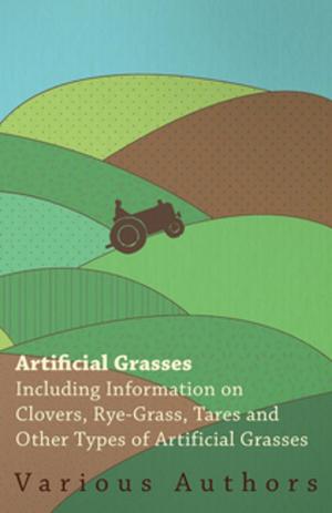 Cover of the book Artificial Grasses - Including Information on Clovers, Rye-grass, Tares and Other Types of Artificial Grasses by D. N. McHardy