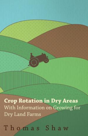 Cover of the book Crop Rotation in Dry Areas - With Information on Growing for Dry Land Farms by Joseph J. Kraszewski