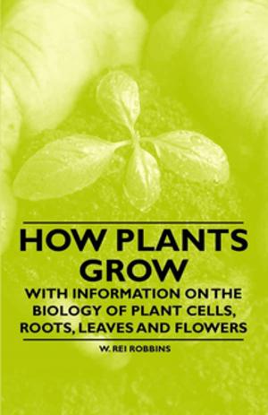 Cover of the book How Plants Grow - With Information on the Biology of Plant Cells, Roots, Leaves and Flowers by Liberty Hyde Bailey