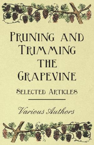 Cover of the book Pruning and Trimming the Grapevine - Selected Articles by Stephen Vincent Benét