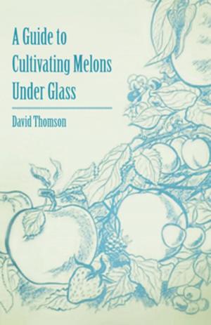 Cover of the book A Guide to Cultivating Melons Under Glass by Alexander Inkson McConnochie